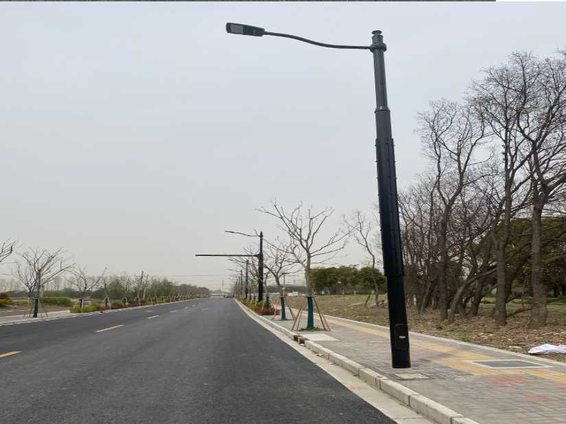 西乡塘区上海综合杆 太阳能路灯工程